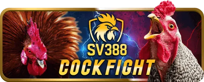 Ưu đãi độc quyền và chương trình VIP Kuwin